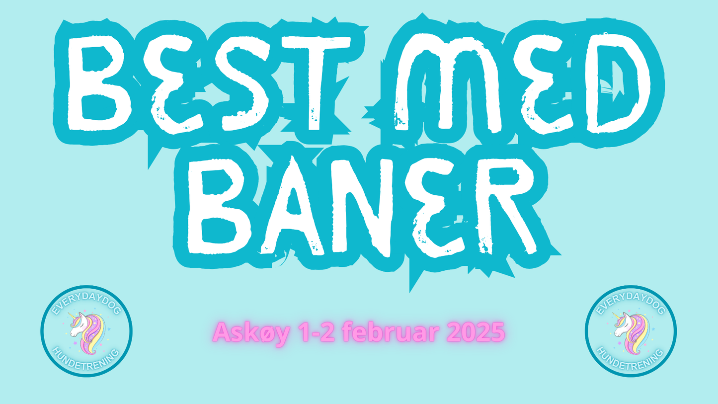 Best med baner - 1 og 2 februar 2025 Askøy