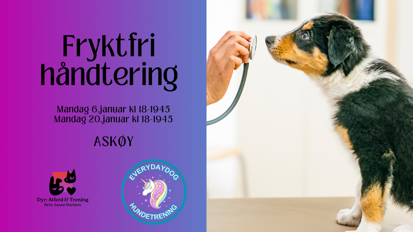 Fryktfri håndtering - Askøy