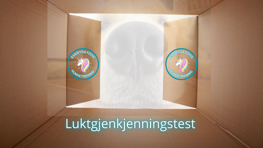 Luktgjenkjenningstest - LGT