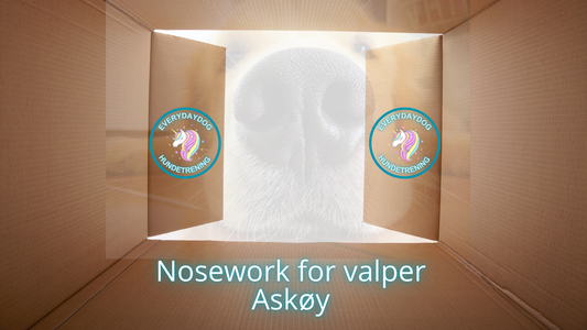 Nosework for valper - Askøy