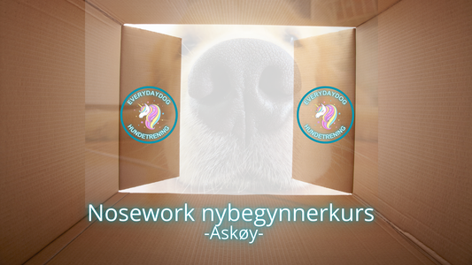 Nosework - nybegynnerkurs helg ASKØY