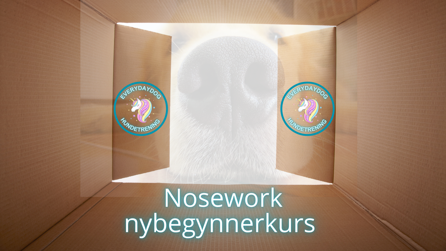 Nosework - nybegynnerkurs helg