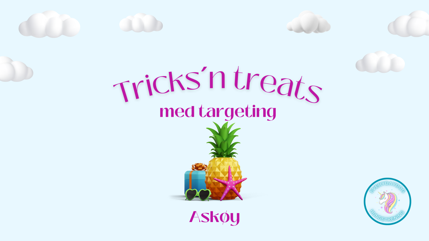 Tricks´n treat med targeting - Askøy